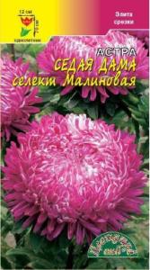 Астра Седая Дама малиновая Цвет.сад