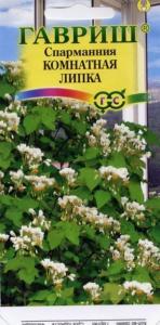 Спармания Липка комнатная 3шт Гавриш