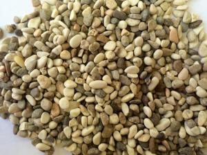 Грунт PRIME Галька морская 3-5мм 2,7кг-12