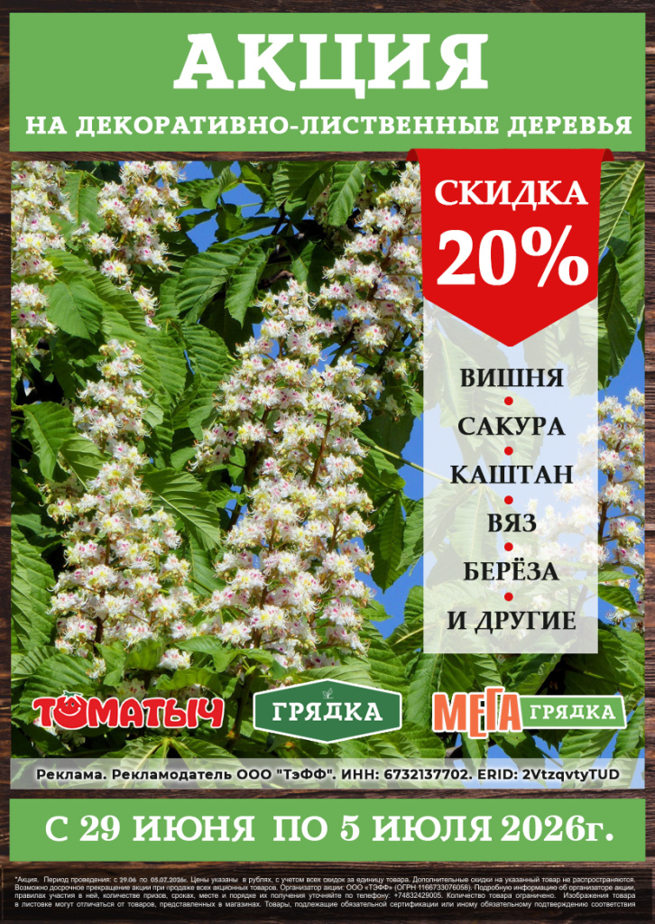акция скидка на декарат лист деревья.jpg