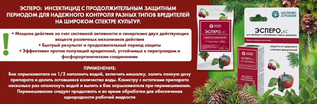 Эсперо описание.jpg Эсперо описание.jpg