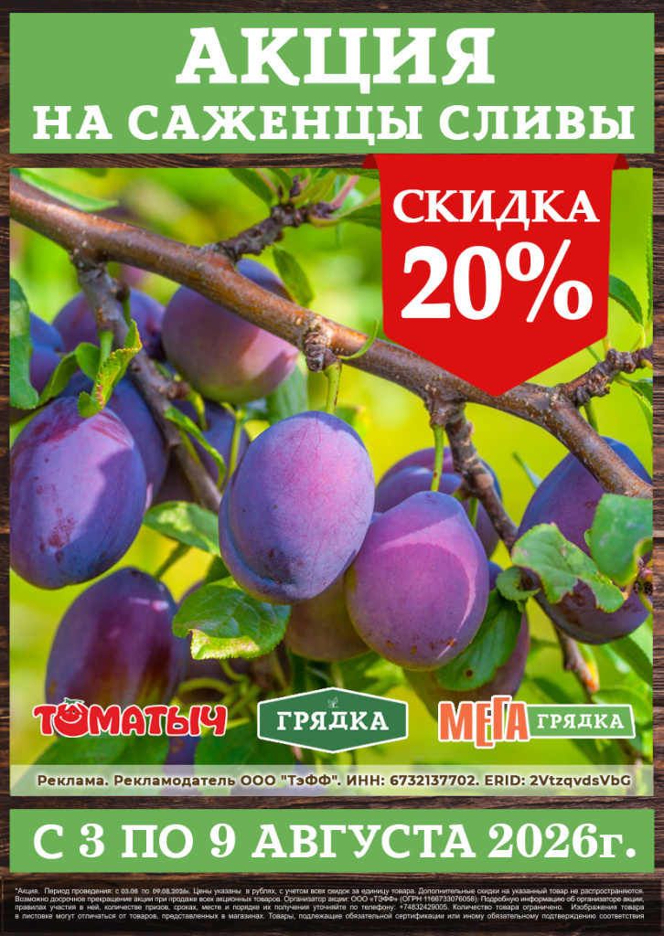 акция скидка на саженцы сливы.jpg
