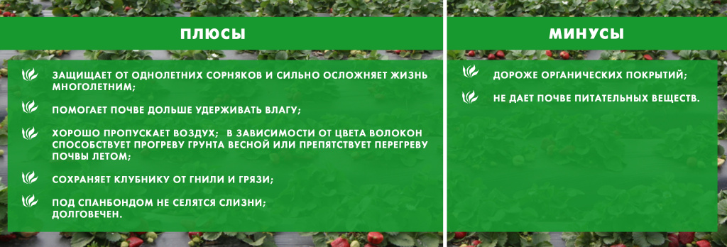 плюсы и минусы Спанбонд11.jpg плюсы и минусы Спанбонд11.jpg