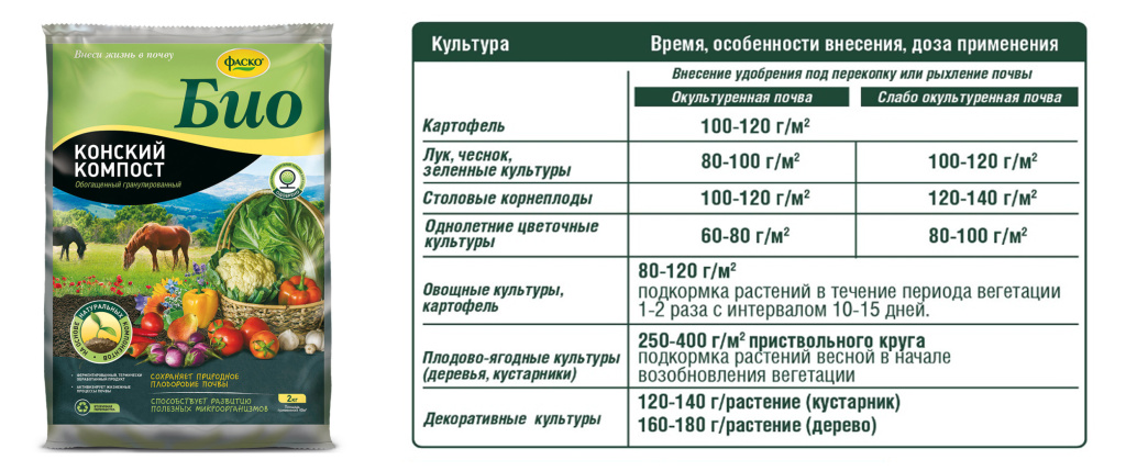 рис 2.jpg