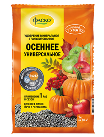осеннее универсальное фаско.jpg
