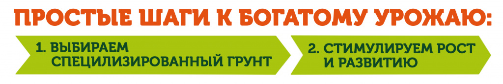 иллюстрация 3.jpg