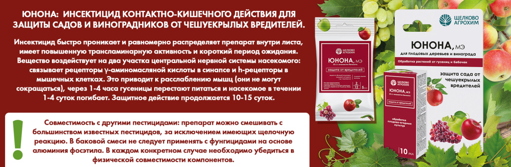 Юнона описание.jpg Юнона описание.jpg