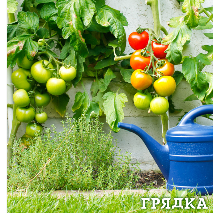 7 см на 7 см 250 дпи 1.jpg