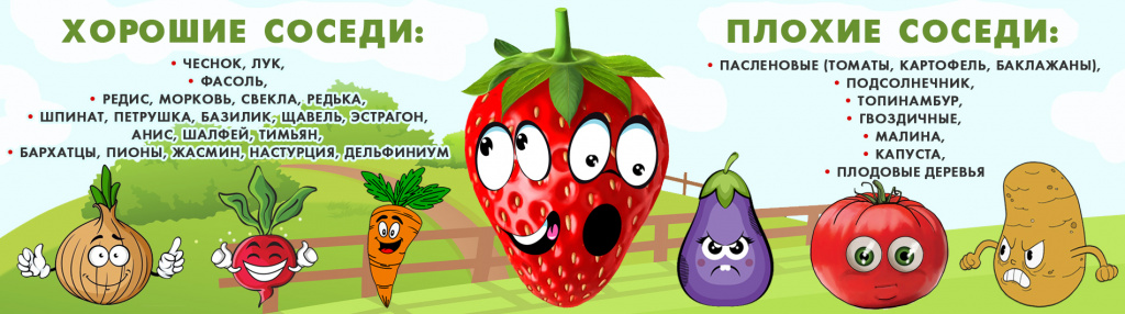 баннер хорошие плохие соседи.jpg баннер хорошие плохие соседи.jpg