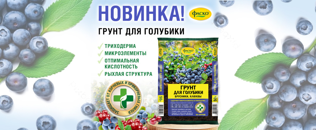 Фаско с фоном.jpg Фаско с фоном.jpg