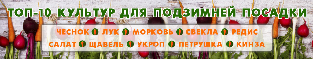 баннер внутреннии1.jpg баннер внутреннии1.jpg