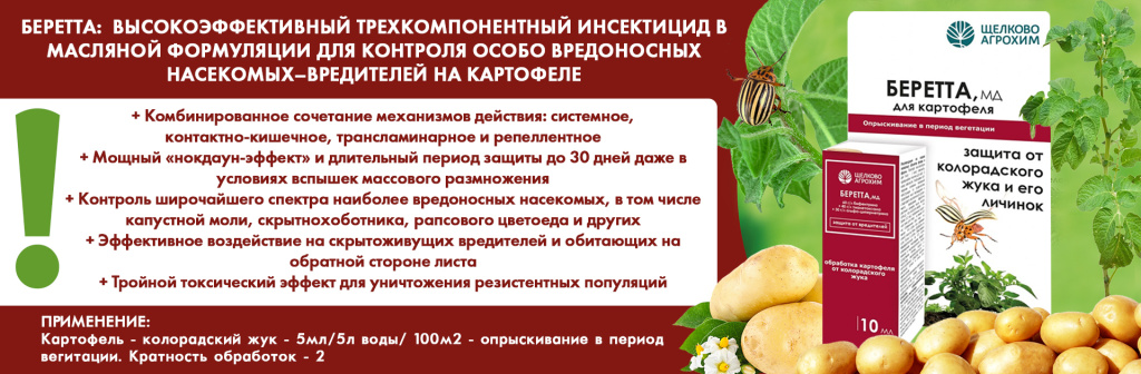 Беретта описание.jpg