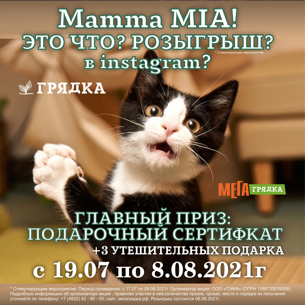 Розыгрыш ко дню кошек жЕНЕ.jpg Розыгрыш ко дню кошек жЕНЕ.jpg