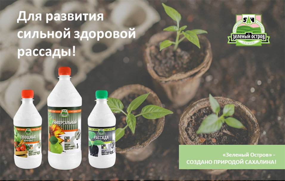 рисунок гуматы 2.jpg рисунок гуматы 2.jpg