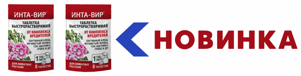 новинка в статье в октябре.jpg