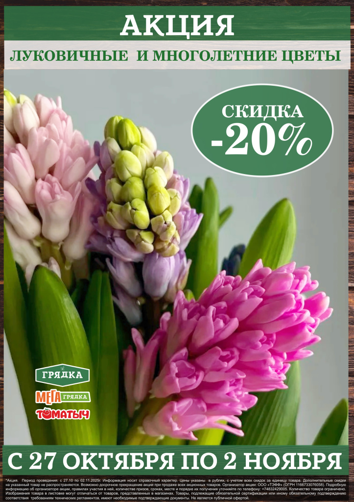 Луковичные 27-2.11.jpg