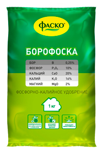 рис-1.jpg
