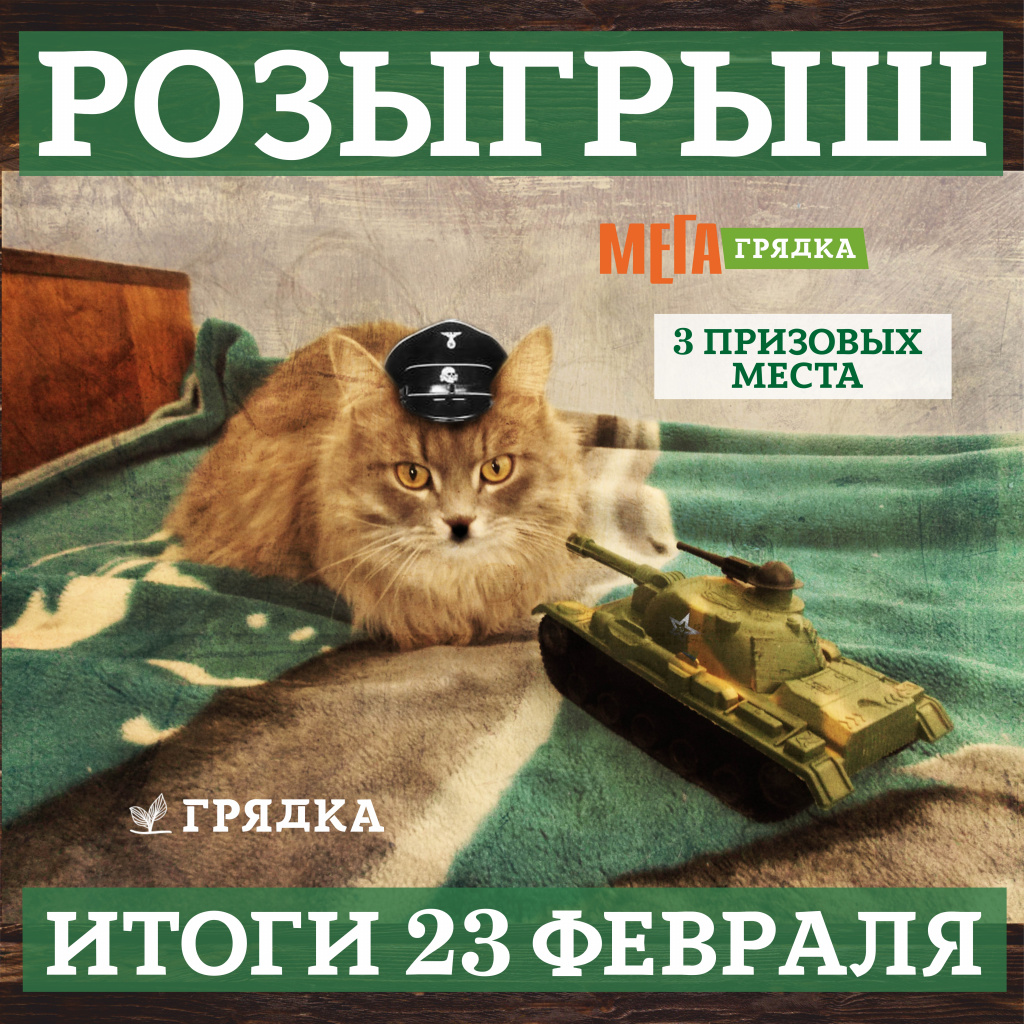 РОЗЫГРЫШ ИГ.jpg