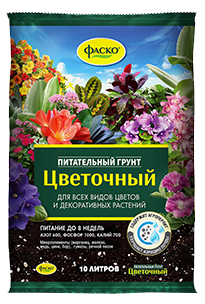 фаско цветочный.png