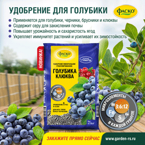 ФАСКО_УдобрениеГолубика_03-06_2026_Баннер-соцсети-1024х1024.gif