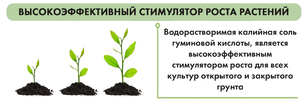 рисунок гуматы 1.jpg рисунок гуматы 1.jpg