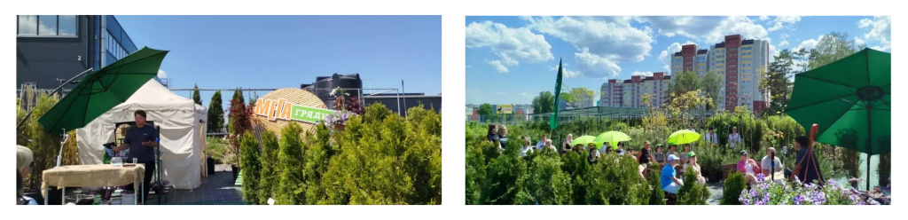 рис.jpg рис.jpg