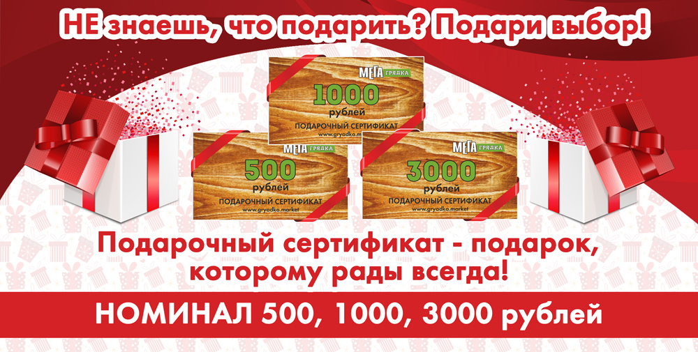 сертификат-раздел-САЙТ.jpg сертификат-раздел-САЙТ.jpg