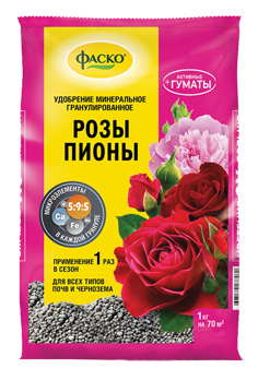 Ил пионы Фаско.png