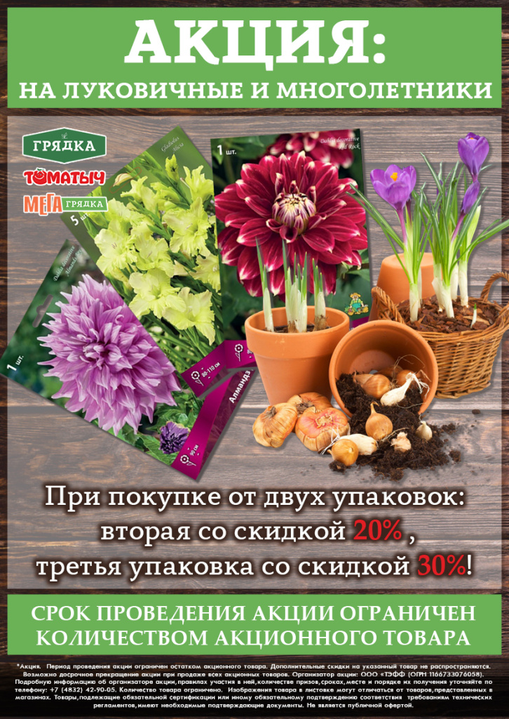акция скидка луковичные и многолетники.jpg акция скидка луковичные и многолетники.jpg
