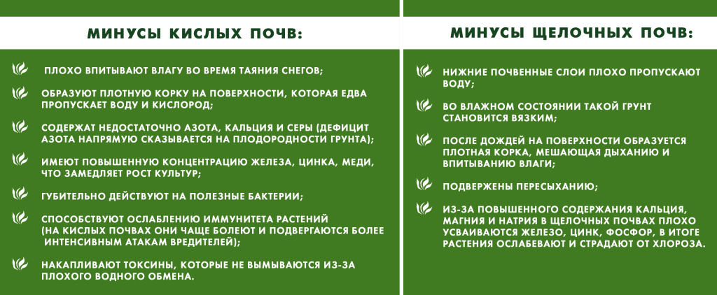 плюсы и минусы.jpg