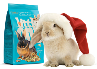 кролик иллюстрация.jpg