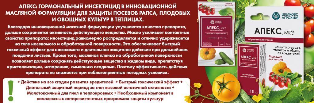 апекс описание.jpg апекс описание.jpg