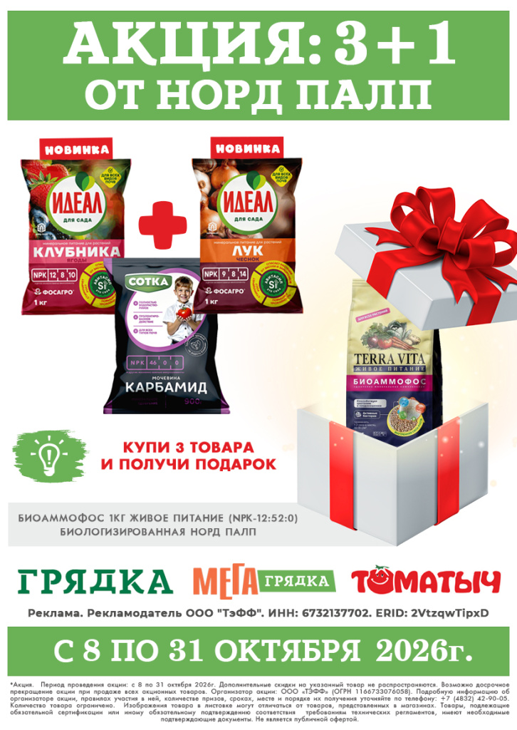 акция Норд Палп 3+1.jpg