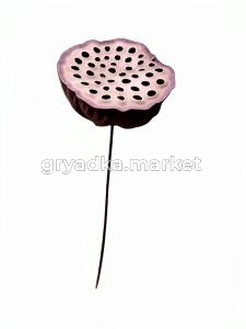1677