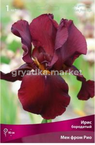 Ирис бородатый Мен фром Рио (тёмно-бордовый, 1шт, I)
