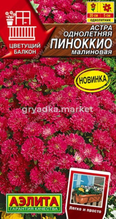 Астра Пиноккио малиновая карликовая 0,2г Одн 20см (Аэлита)