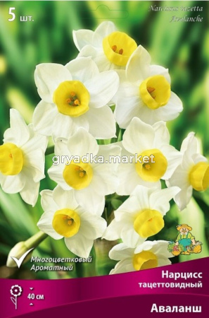 Нарцисс с Расщеплённой коронкой Флайер 5шт (смесь, 12-14, h45см)