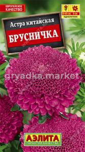 Астра Брусничка Аэл.