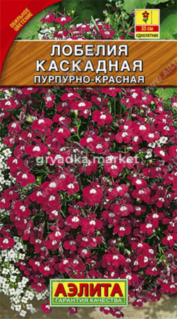 Лобелия Каскадная Пурпурно-Красная Аэлита