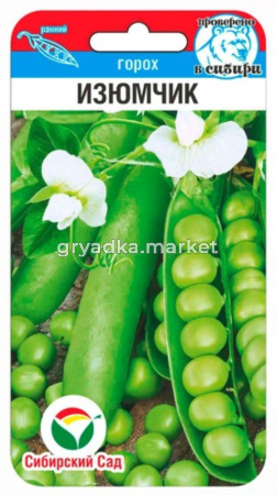 Горох Изюмчик лущильный 5г Ранн (Сиб Сад)