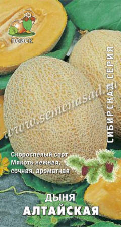 Дыня Алтайская 15шт (Поиск)