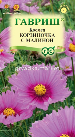 Космея Корзиночка с малиной 0,3г Одн 70см (Гавриш)
