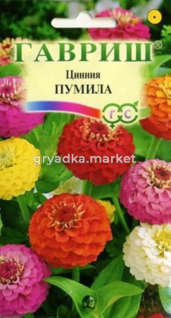 Цинния Пумила махр. раннецвет. смесь 0,5г Гавриш