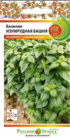 Базилик Изумрудная башня (10шт) (НК)