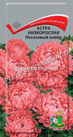 Астра Лососевый Ковер низкорослая 0,2г Одн 20см (Поиск)