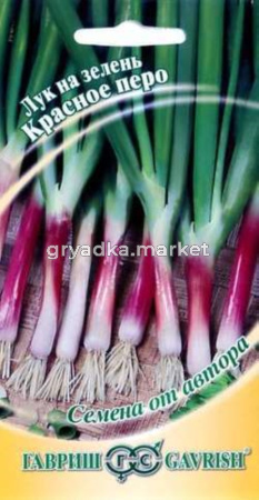 Лук на зелень Красное перо 1,0г автор.селекция Гавриш