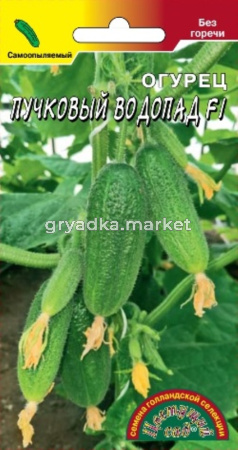 Огурец Пучковый водопад F1 0.3г Парт Ранн (Цвет сад)