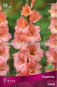Гладиолус крупноцветковый Сиси 10шт (лососево-розовый, 10-12, h110см)