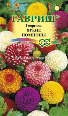 Георгина Яркие помпоны 0,2г Гавриш