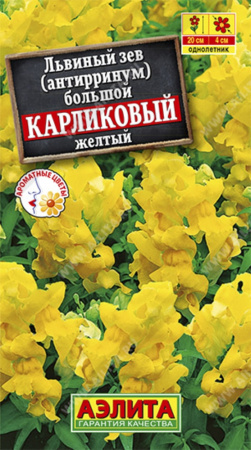 Львиный зев Карликовый желтый Аэлита